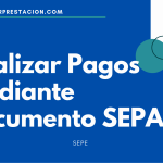 Realizar Pagos mediante Documento SEPA